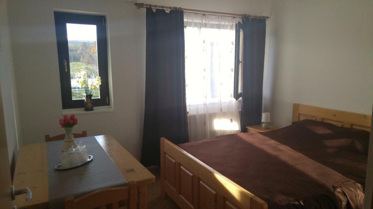 Hotel Pensiunea Casa Vanatorului Oteleni Esterno foto