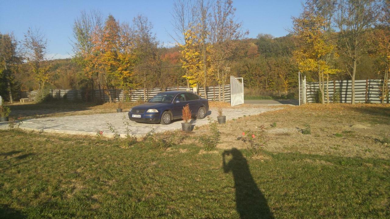 Hotel Pensiunea Casa Vanatorului Oteleni Esterno foto