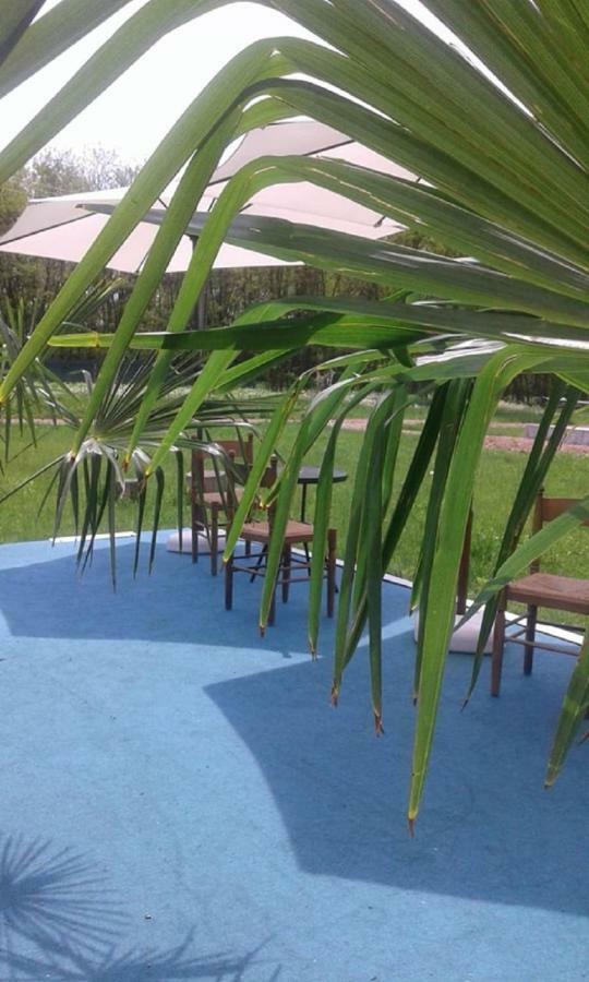 Hotel Pensiunea Casa Vanatorului Oteleni Esterno foto