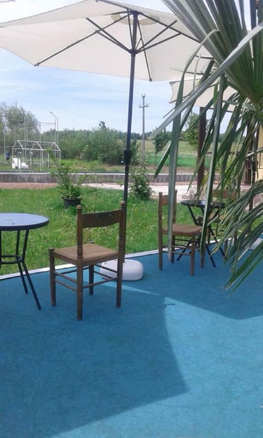 Hotel Pensiunea Casa Vanatorului Oteleni Esterno foto