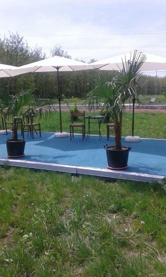Hotel Pensiunea Casa Vanatorului Oteleni Esterno foto