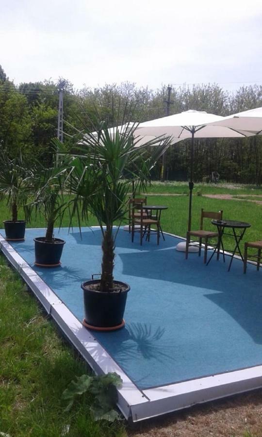 Hotel Pensiunea Casa Vanatorului Oteleni Esterno foto